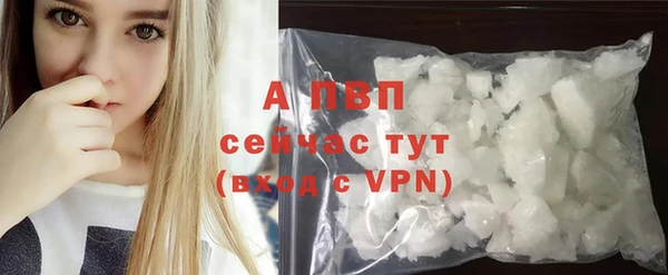 стаф Алексин