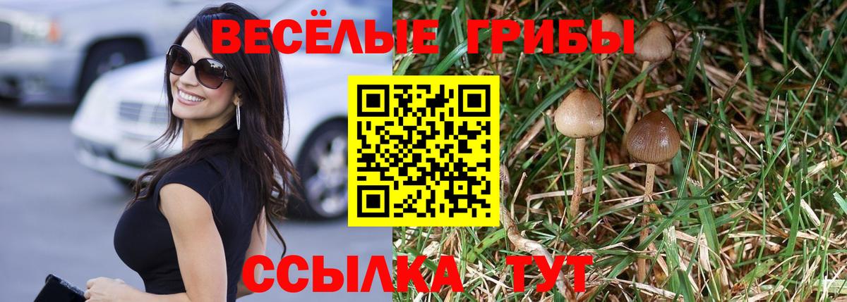 Псилоцибиновые грибы GOLDEN TEACHER Тайшет