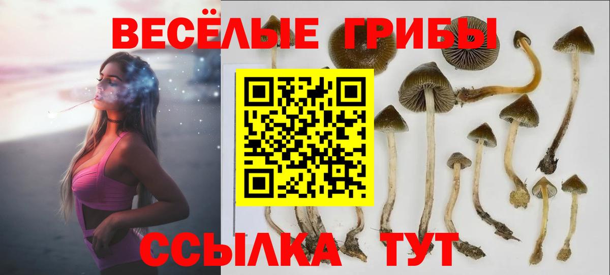 наркошоп  Вход с VPN  Тайшет  Псилоцибиновые грибы Psilocybe  Псилоцибиновые грибы Magic Shrooms 